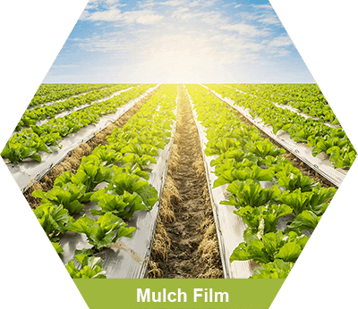 Mulch 1